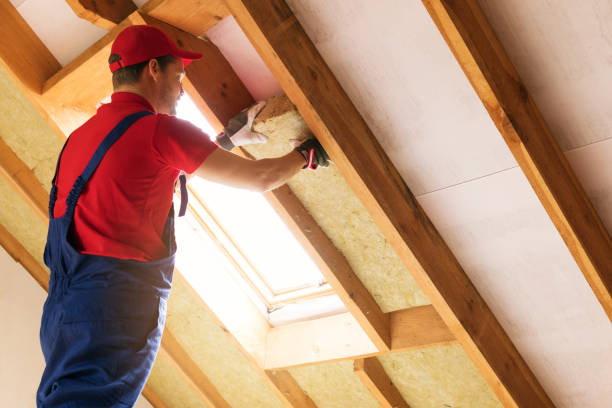 Best Attic Insulation Installation  in Duncanville, TX